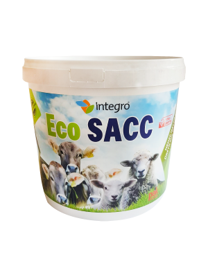 EcoSacc
